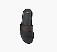 DARREL SLIDE
