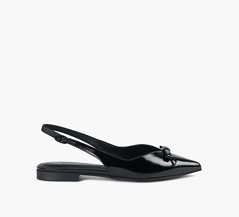 VIOLA FLAT