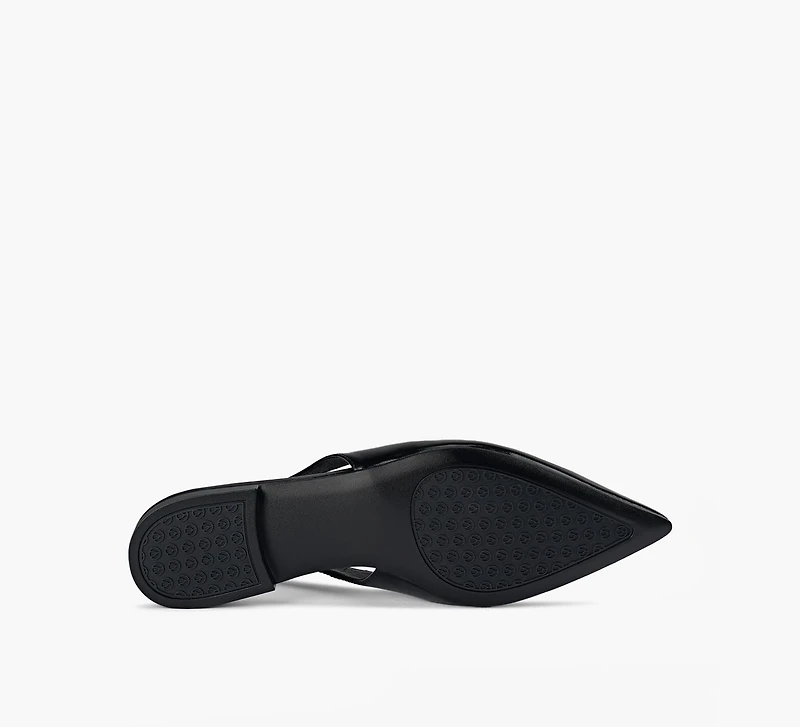 VIOLA FLAT