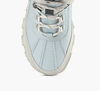 ADIRONDACK MERIDIAN HIKER