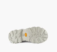 ADIRONDACK MERIDIAN HIKER