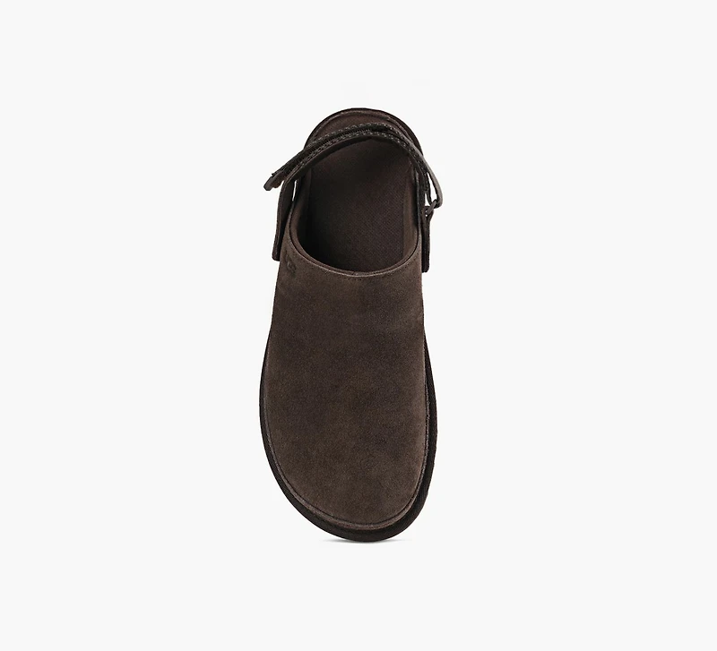 MULE GOLDENSTAR