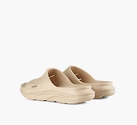 ORA RECOVERY SLIDE 3