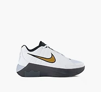 BASKETS LEBRON WITNESS