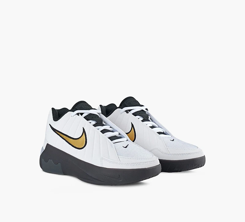 BASKETS LEBRON WITNESS