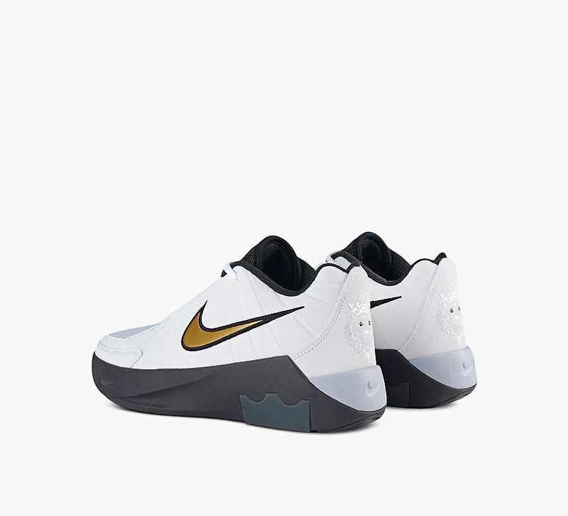 BASKETS LEBRON WITNESS