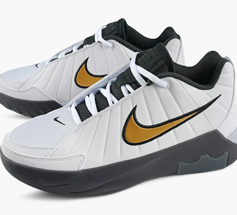 BASKETS LEBRON WITNESS