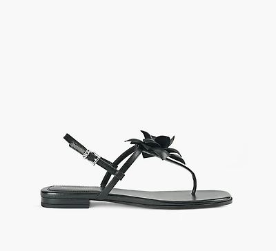 JACIE THONG SANDAL