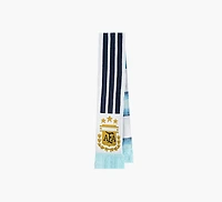 ARGENTINA 26 SCARF