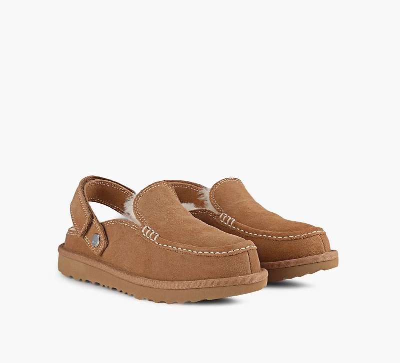 MULE GOLDENSTAR EVELINA