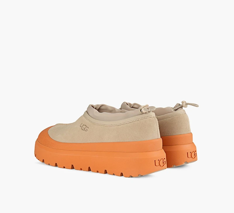 TASMAN WEATHER HYBRID