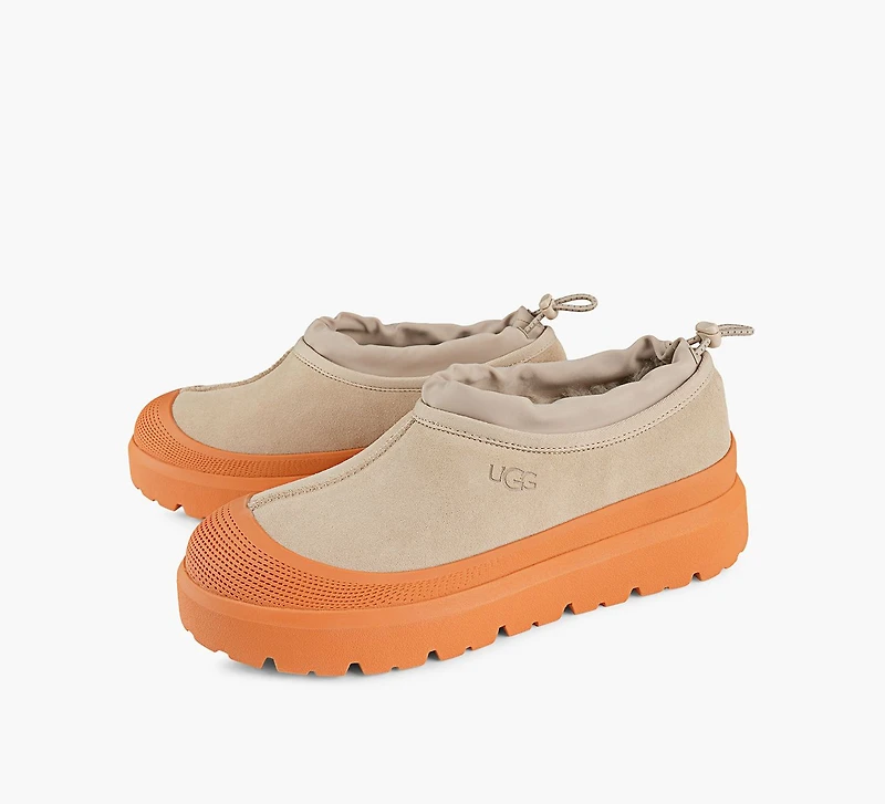 TASMAN WEATHER HYBRID