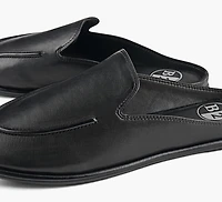 COLOGNE