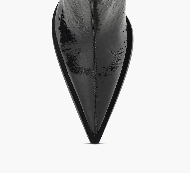 PALOMA