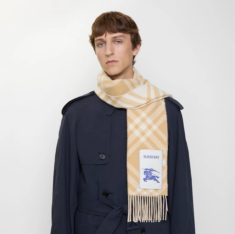 Check Cashmere Scarf in Sand beige | Burberry® Official