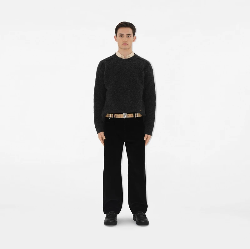 Reversible Check TB Belt in Archive beige/silver - Men, Cotton, Technical | Burberry® Official