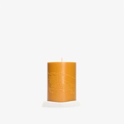 Botanic Garden Candle in Pear yellow | Burberry® Official
