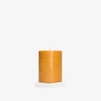 Botanic Garden Candle in Pear yellow | Burberry® Official