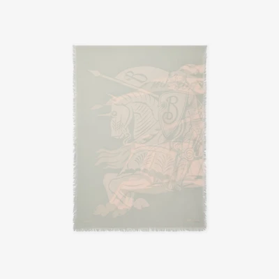 Wide EKD Wool Scarf in Mitten | Burberry® Official