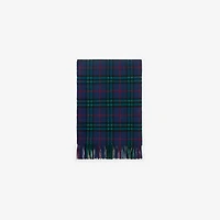 Check Cashmere Scarf in Bugle blue | Burberry® Official