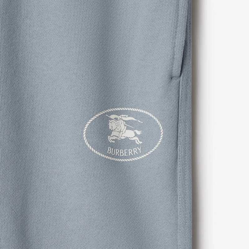 Knight Stamp Cotton Shorts in Gale grey - Men | Burberry® Official