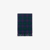 Check Cashmere Scarf in Bugle blue | Burberry® Official