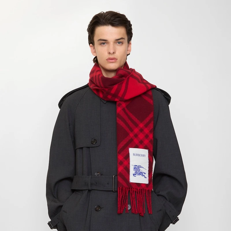 Check Cashmere Scarf in Oxblood red | Burberry® Official