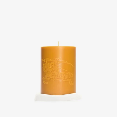 Botanic Garden Candle in Pear yellow | Burberry® Official