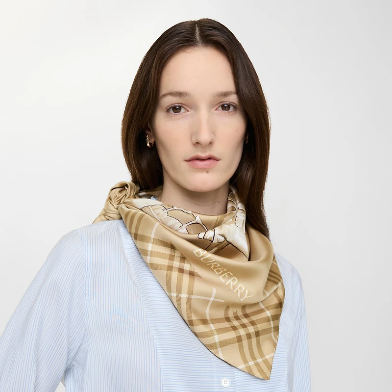 Archive Knight Silk Scarf in Finch beige | Burberry® Official
