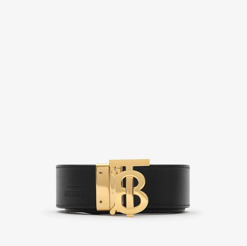 Reversible Check TB Belt in Archive beige/gold - Men, Technical, Cotton | Burberry® Official