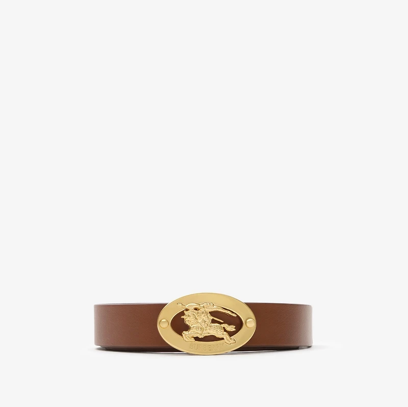 Reversible Check Knight Stamp Belt in Archive beige/tobacco - Women, Cotton, Technical | Burberry® Official