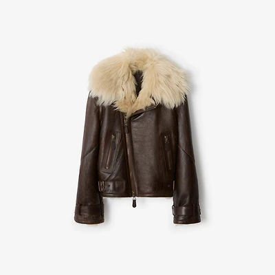Cropped Shearling Aviator Jacket in Dark brown - Women, Suede | Burberry® Official
