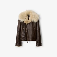 Cropped Shearling Aviator Jacket in Dark brown - Women, Suede | Burberry® Official