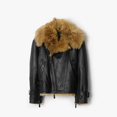 Cropped Shearling Aviator Jacket in Black - Men | Burberry® Official