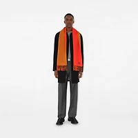 Reversible Cashmere Scarf in Tomato/squash | Burberry® Official