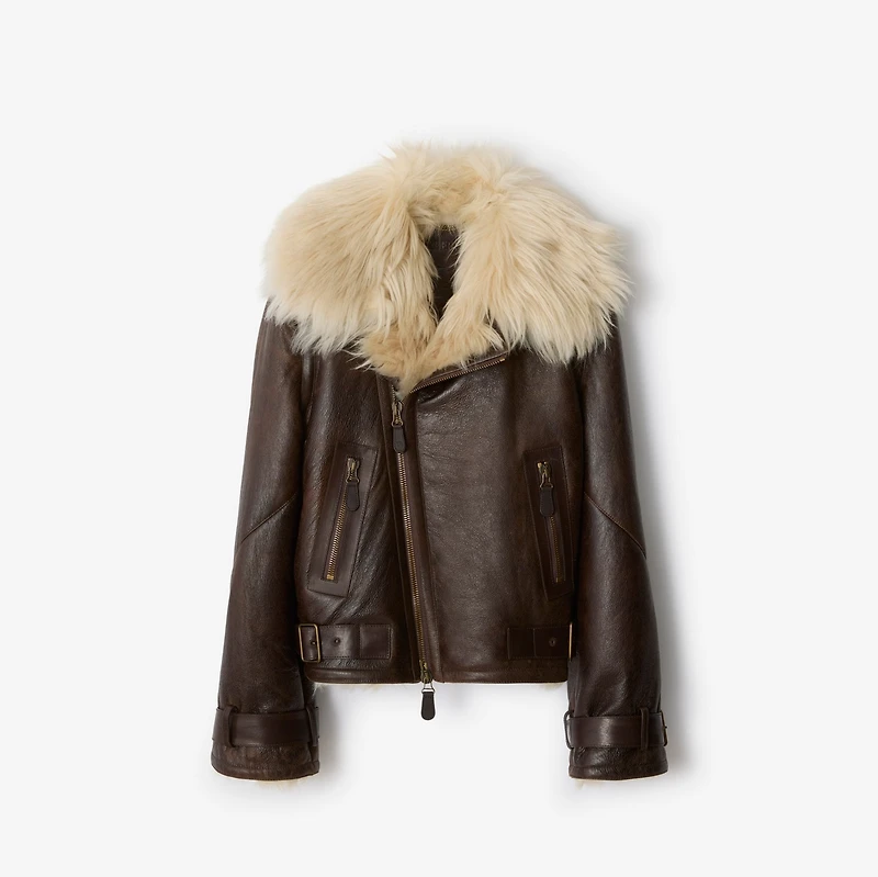 Cropped Shearling Aviator Jacket in Dark brown - Women, Suede | Burberry® Official