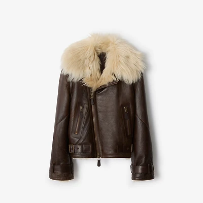 Cropped Shearling Aviator Jacket in Dark brown - Women, Suede | Burberry® Official