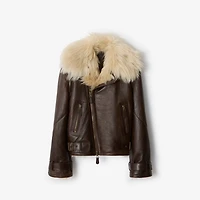 Cropped Shearling Aviator Jacket in Dark brown - Women, Suede | Burberry® Official