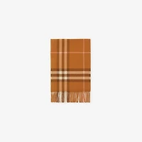 Check Cashmere Scarf in Squash | Burberry® Official