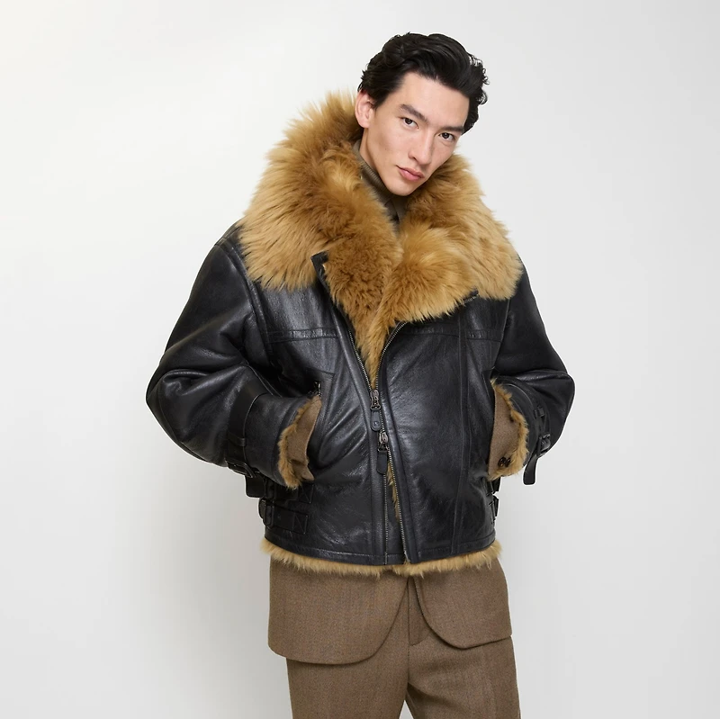 Cropped Shearling Aviator Jacket in Black - Men | Burberry® Official