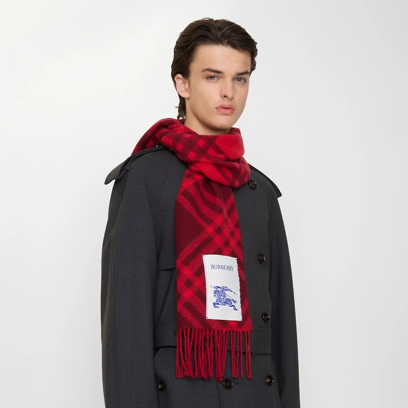 Check Cashmere Scarf in Oxblood red | Burberry® Official