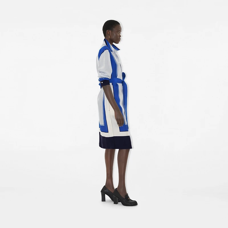 Knight Stamp Box Silk Shirt Dress in Ink - Women | Burberry® Official