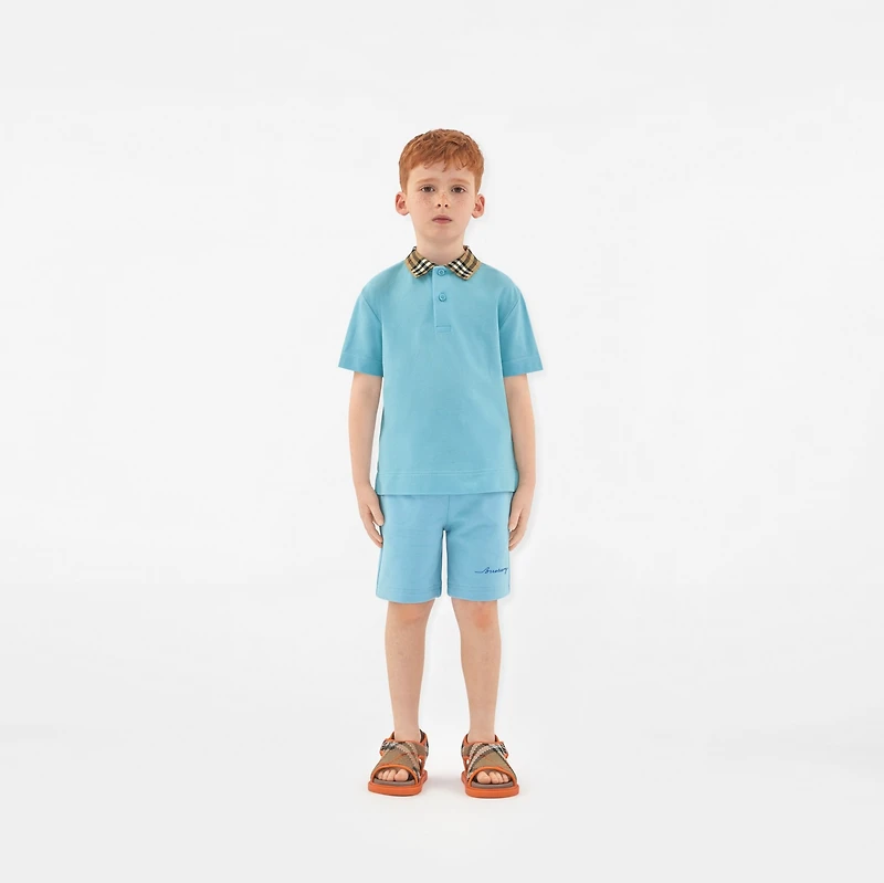 Check Collar Cotton Polo Shirt in Lizard | Burberry® Official