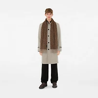 B Charm Cashmere Scarf in Twig | Burberry® Official