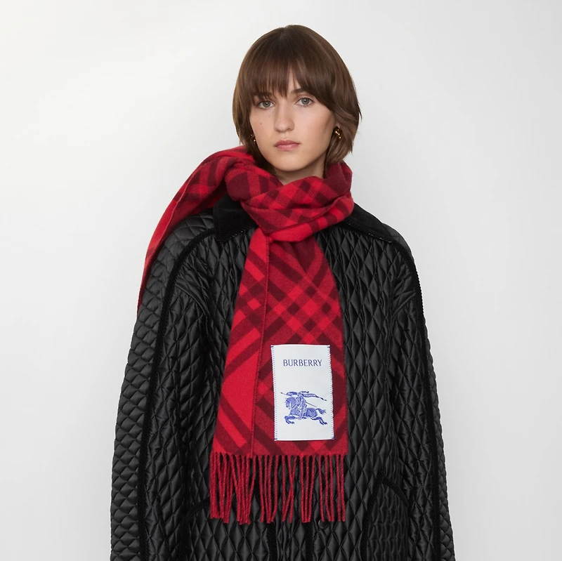 Check Cashmere Scarf in Oxblood red | Burberry® Official