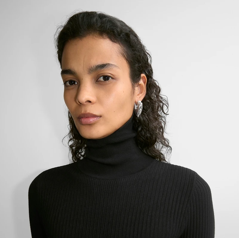 Shield Earrings in Silver