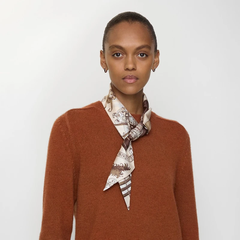 Skinny Reversible Etched Knight Silk Scarf in Taupe beige | Burberry® Official
