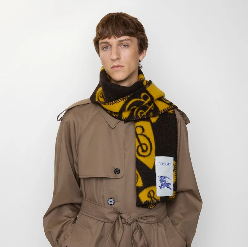 Cascading B Shield Wool Scarf in Chocolate/crown | Burberry® Official