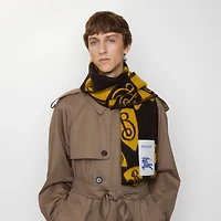 Cascading B Shield Wool Scarf in Chocolate/crown | Burberry® Official