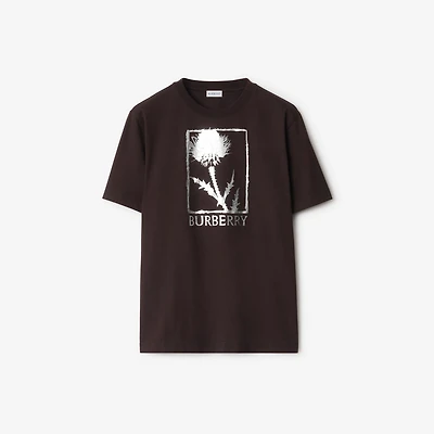 Thistle Cotton T-shirt in Clove brown - Men | Burberry® Official